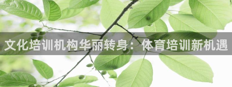 欧陆娱乐能赚钱吗知乎：文化培训机构华丽转身：体育培训