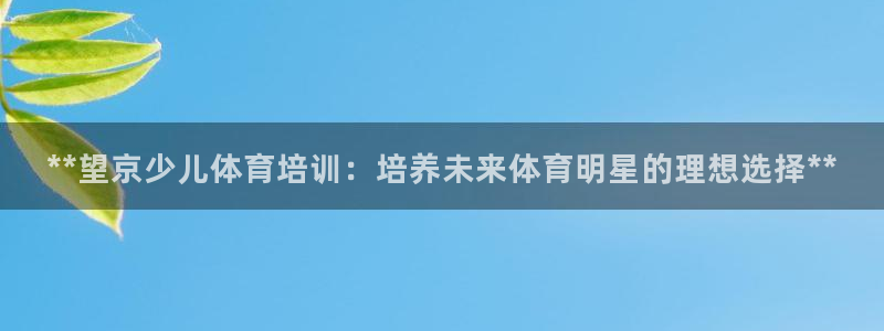 欧陆娱乐合法吗?：**望京少儿体育培训：培养未来体育